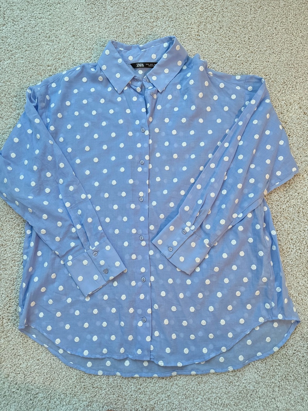 ZARA Embroidered Polka Dot Shirt